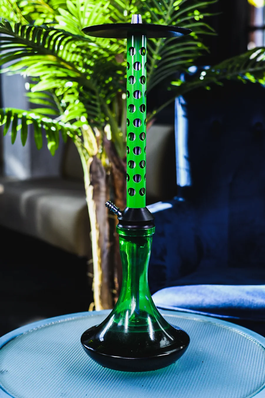 Cachimba Bodo M1 verde junto a una palmera, en el salón