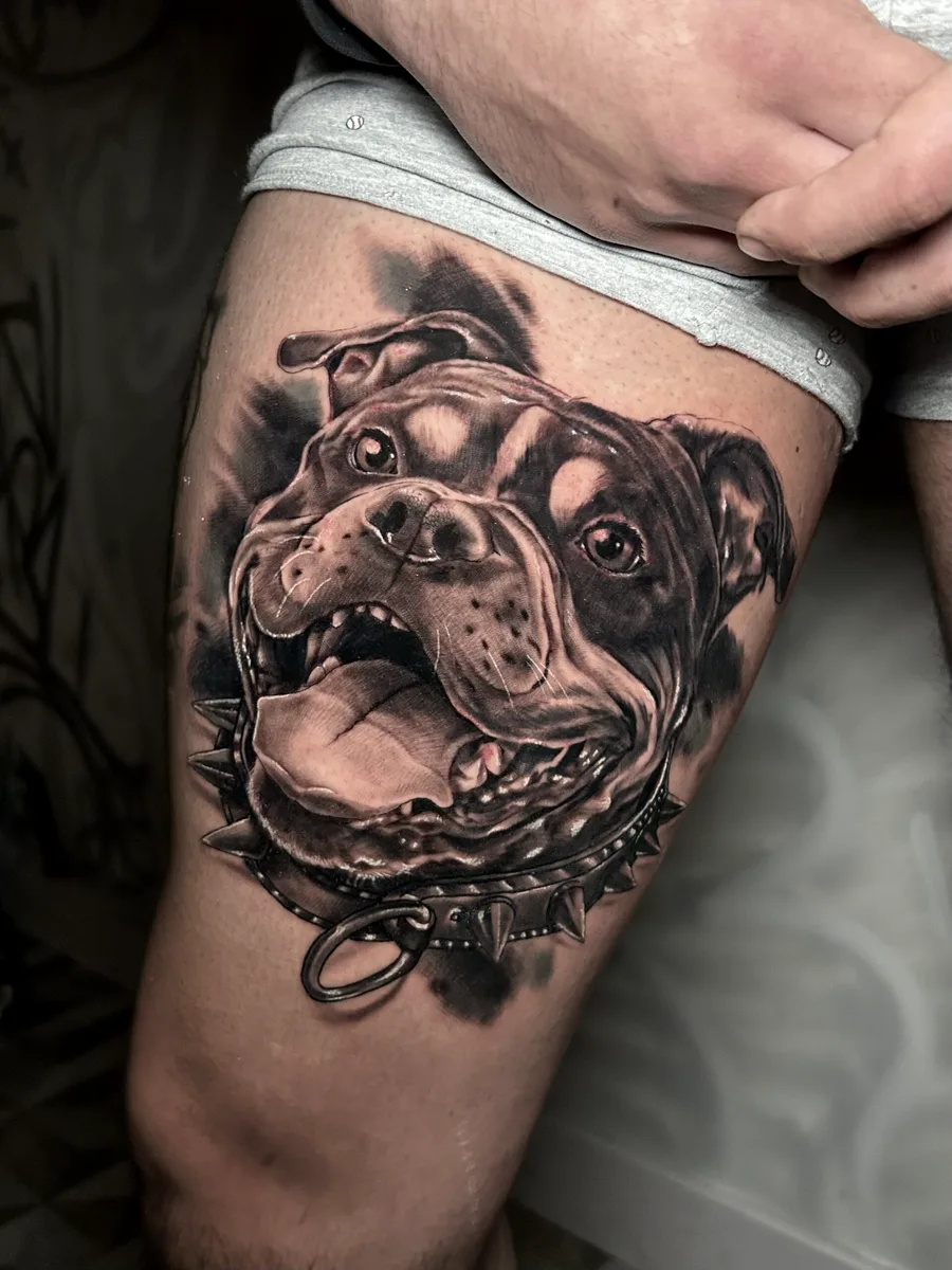 Bulldog en realismo tatuado en el muslo